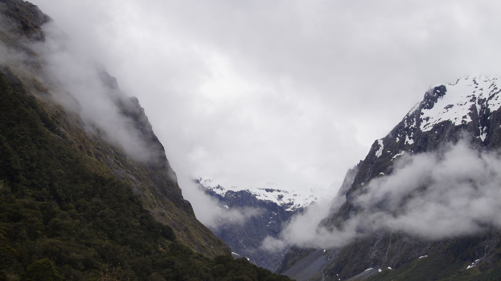 DSC5875.JPG