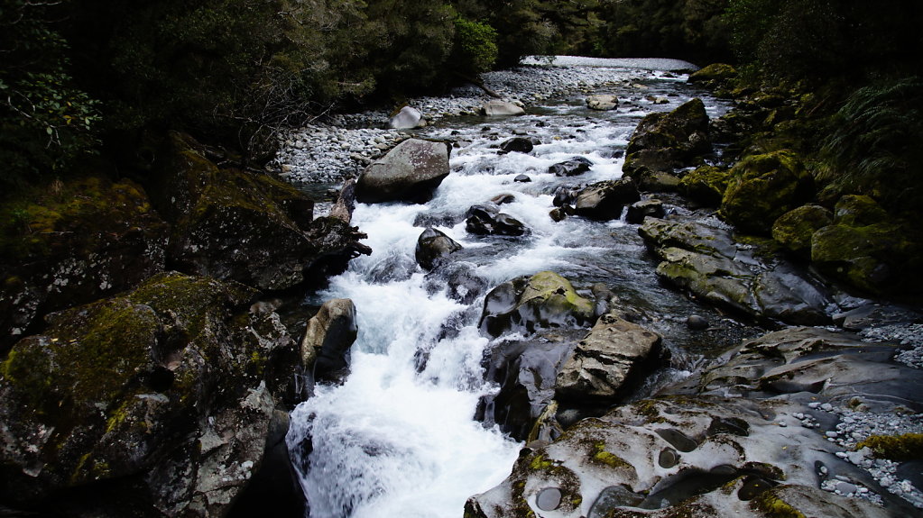 DSC5915.JPG