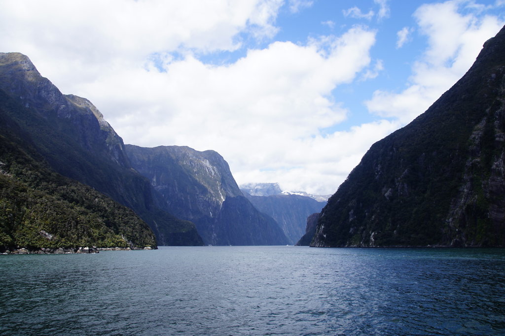 DSC5991-Kopie.JPG