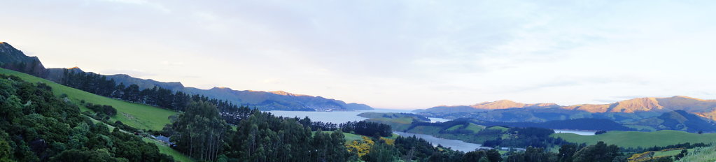 DSC6378.JPG