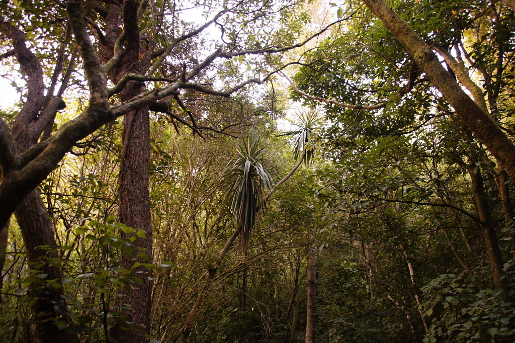 DSC3834.JPG