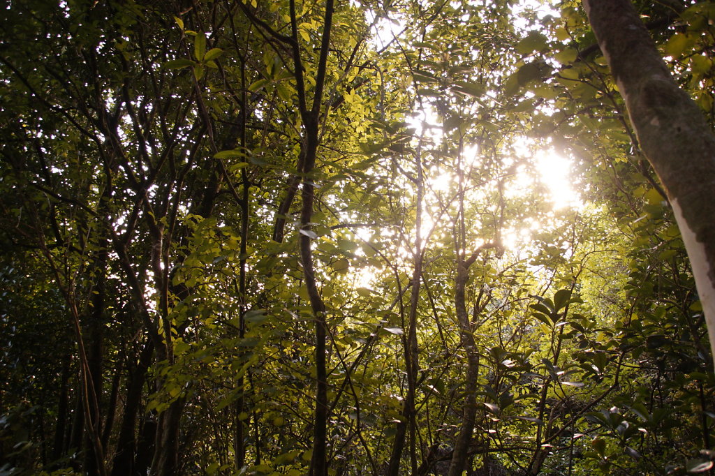 DSC3837.JPG
