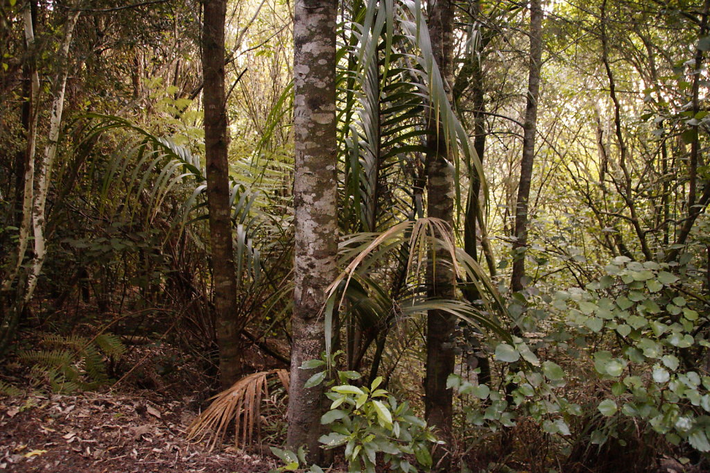DSC3840.JPG