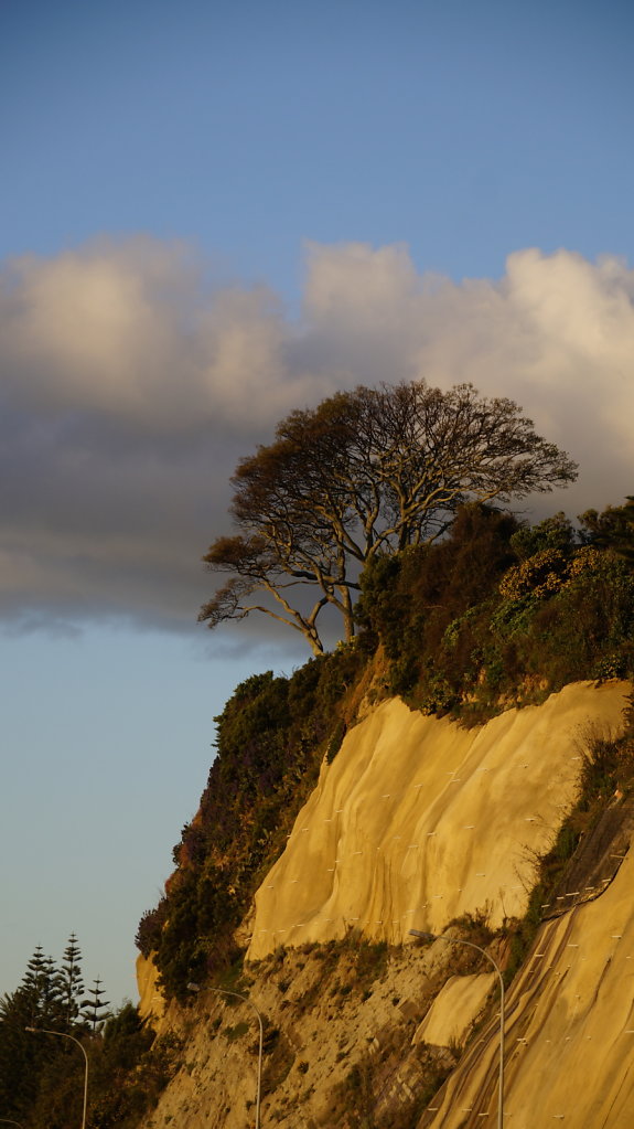 DSC3932.JPG