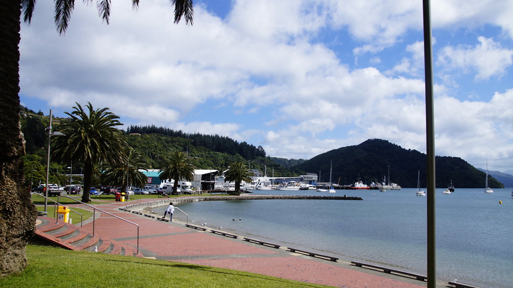 DSC6505.JPG