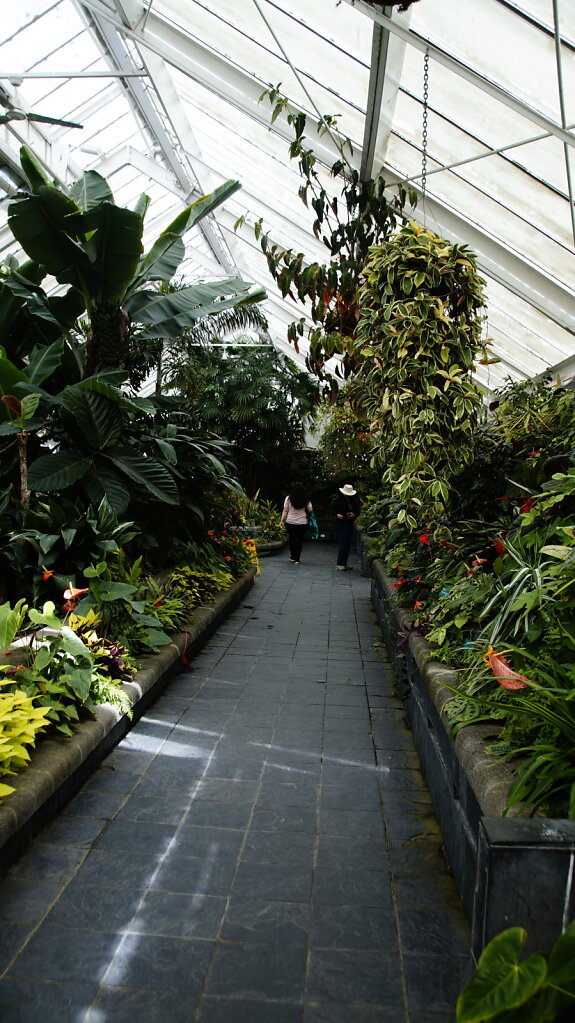 DSC6673.JPG