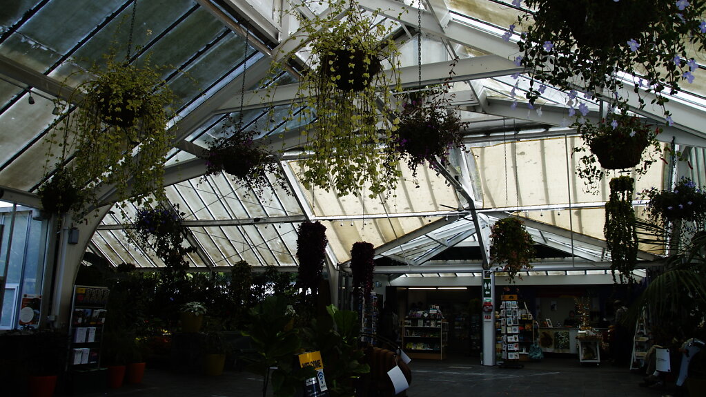 DSC6675.JPG