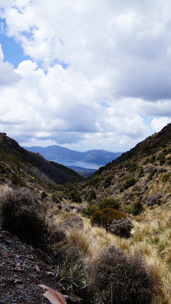 DSC7334.JPG