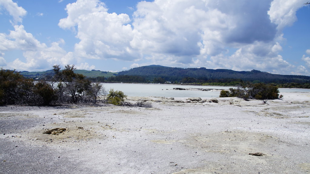 DSC7503.JPG