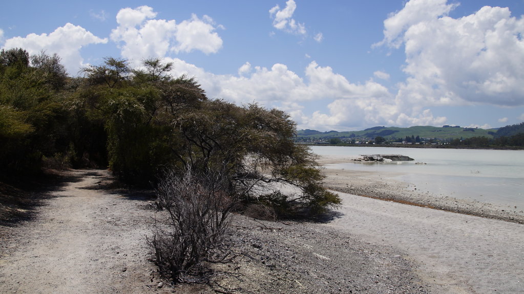 DSC7511.JPG
