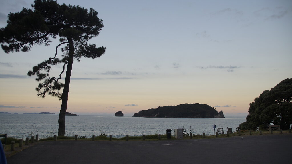 DSC7598.JPG