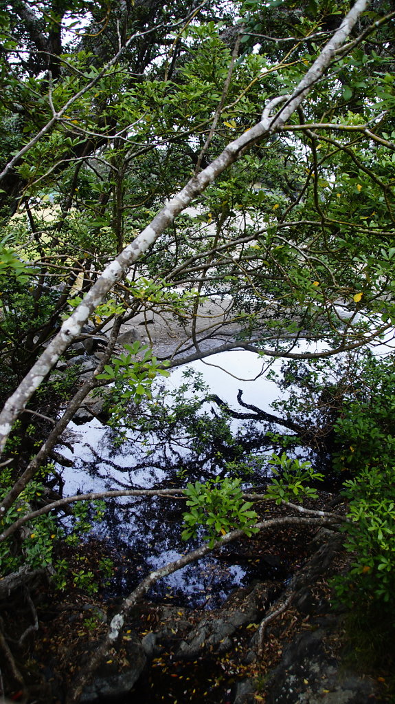 DSC8031.JPG