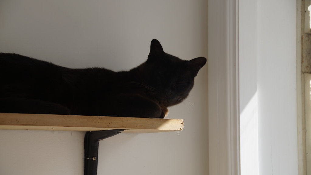 DSC8036.JPG