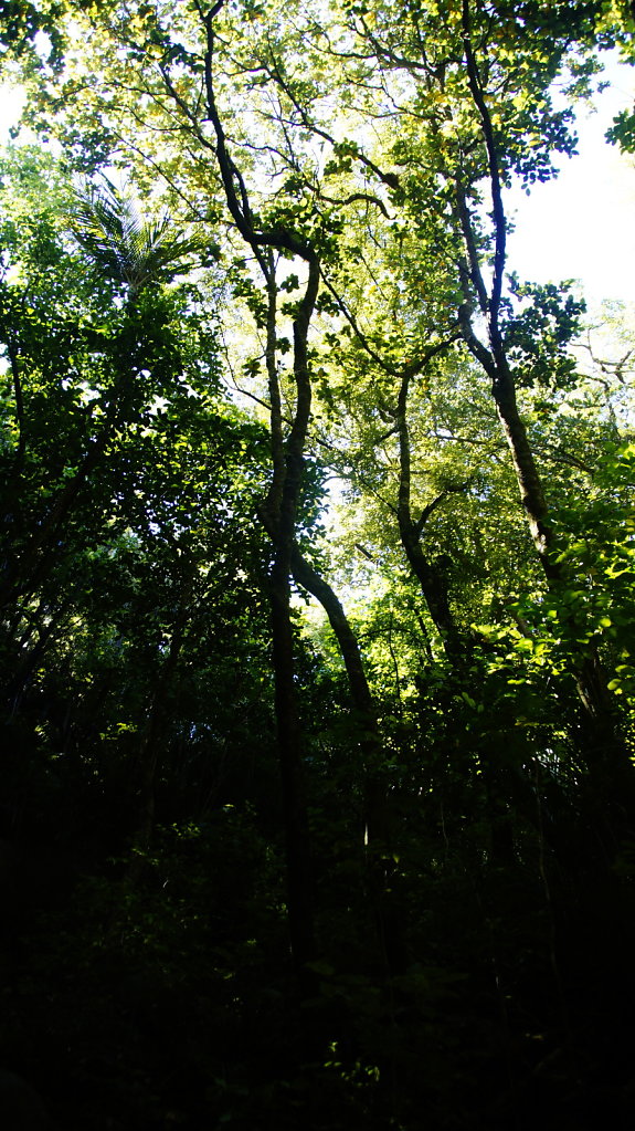 DSC8092.JPG
