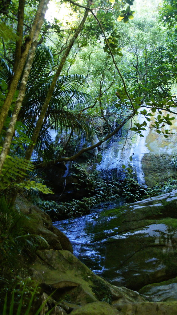 DSC8121.JPG