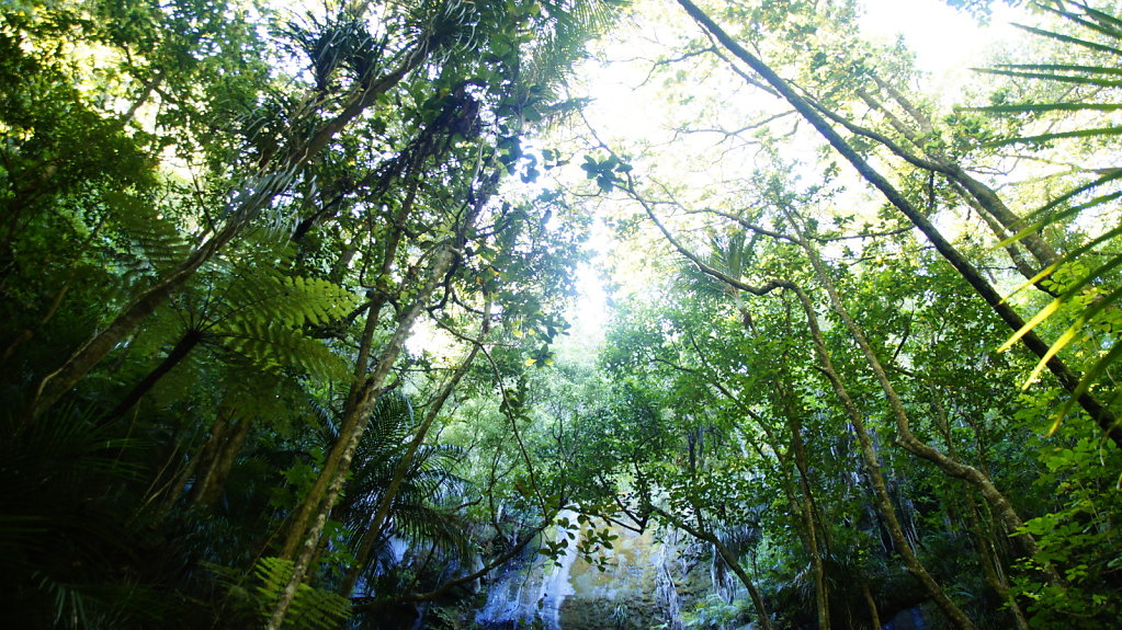 DSC8125.JPG