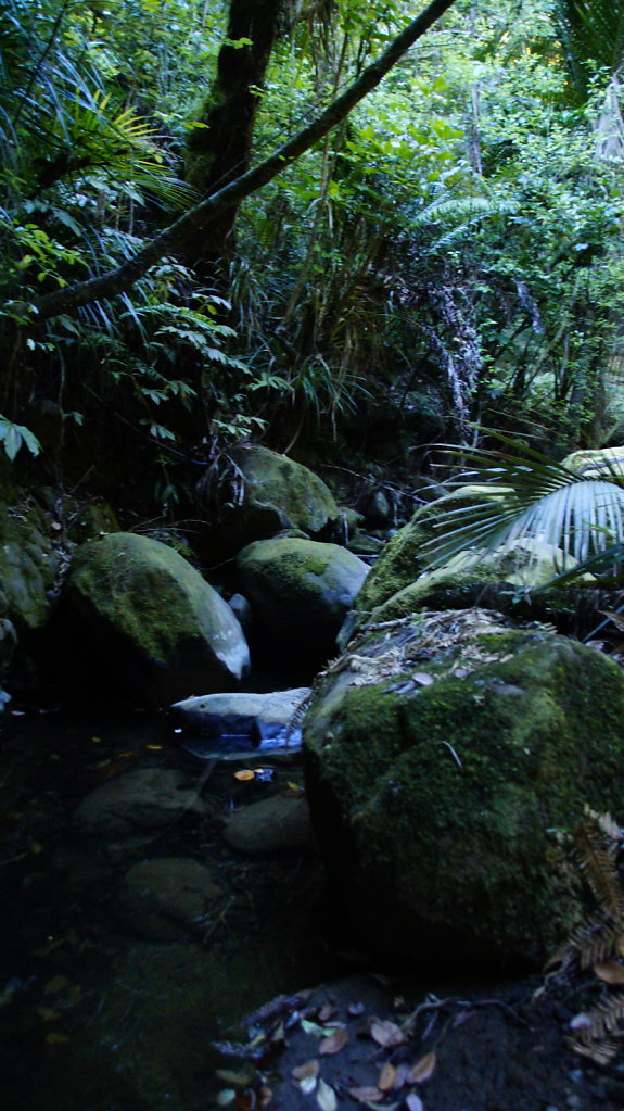 DSC8136.JPG