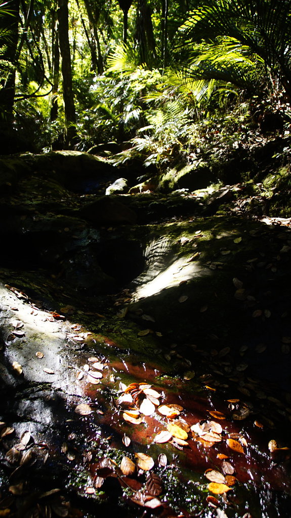 DSC8149.JPG