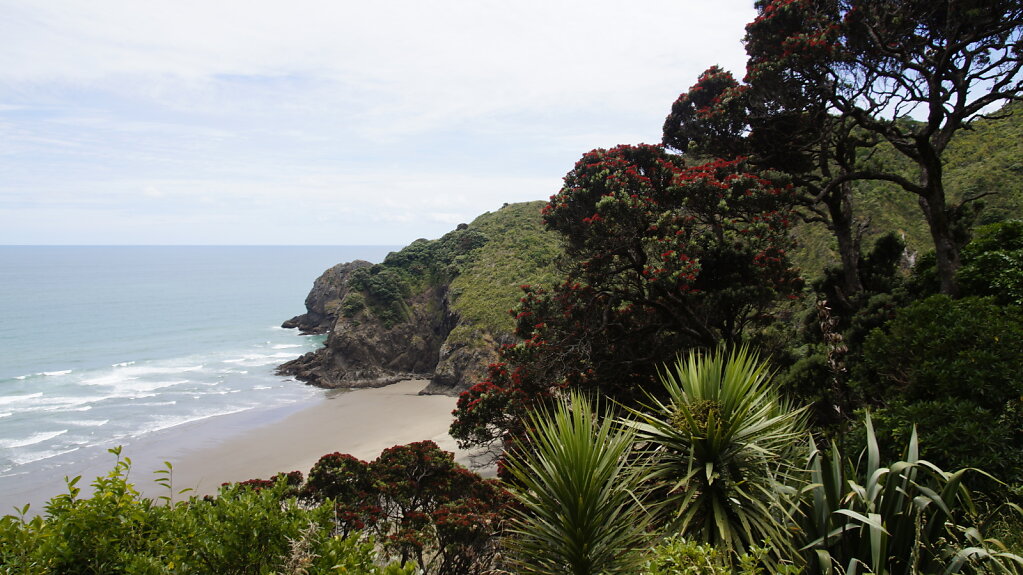 DSC8300.JPG