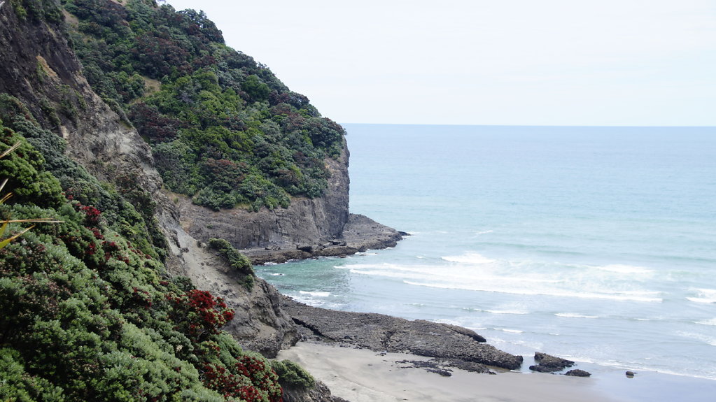 DSC8308.JPG