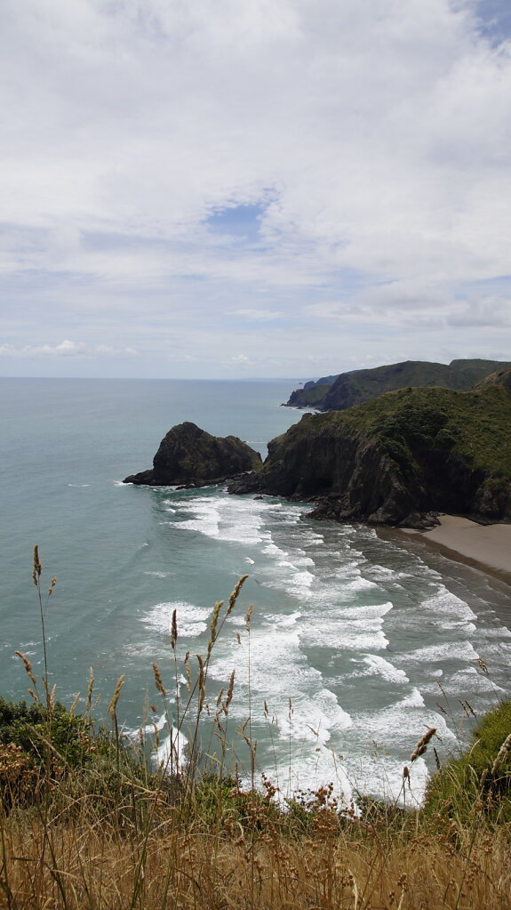 DSC8323.JPG