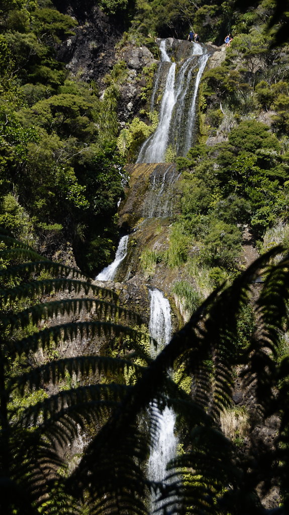 DSC8388.JPG