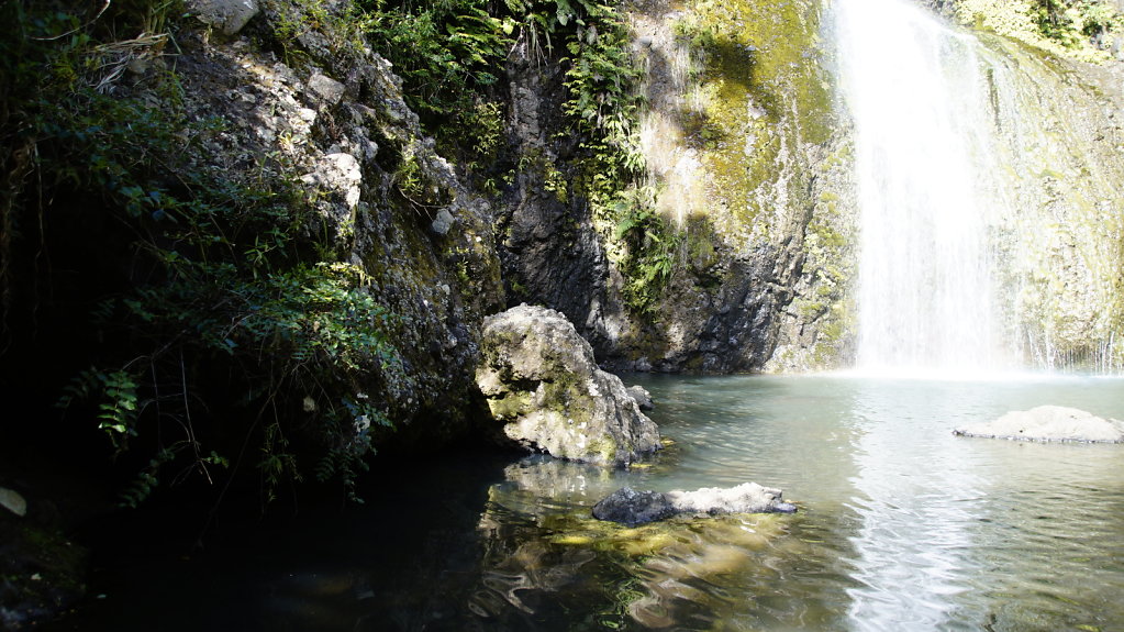 DSC8402.JPG