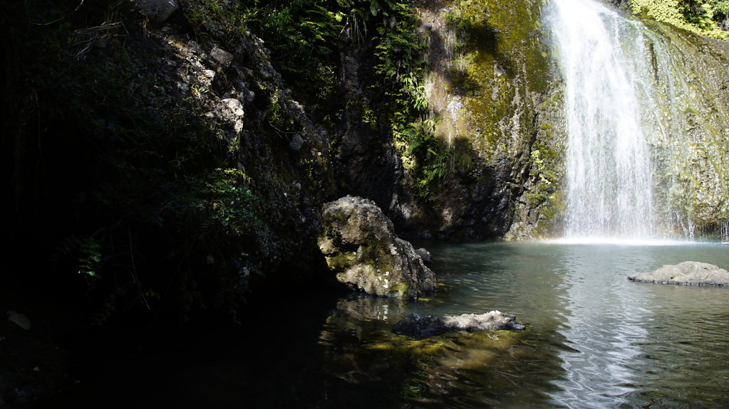 DSC8403.JPG