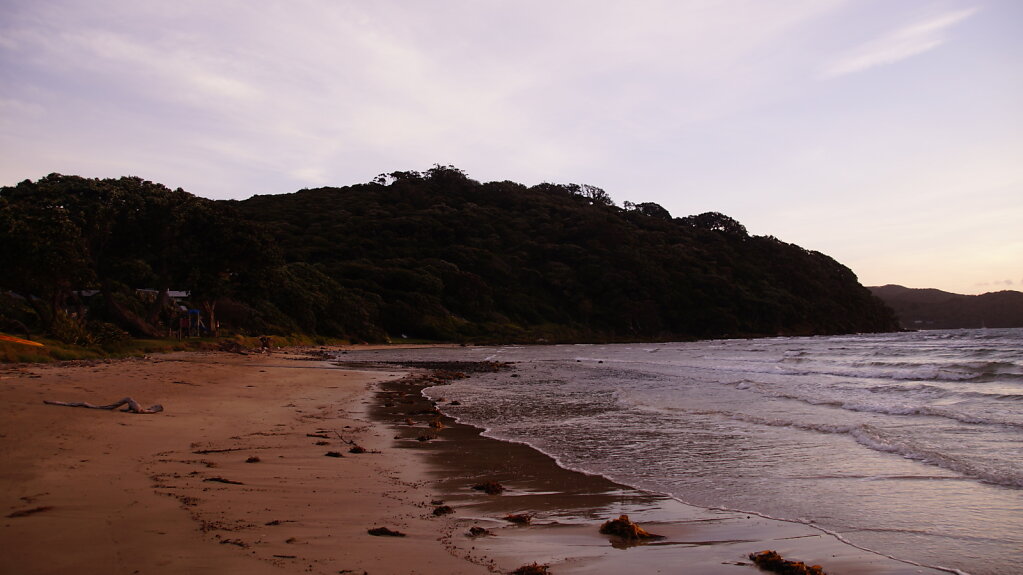 DSC8530.JPG