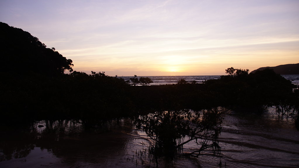 DSC8535.JPG