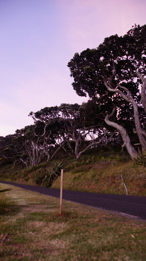 DSC8550.JPG